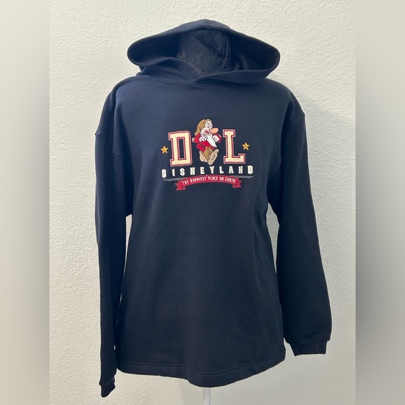 Disneyland Resort Grumpy Hoodie - Picture 1 of 7